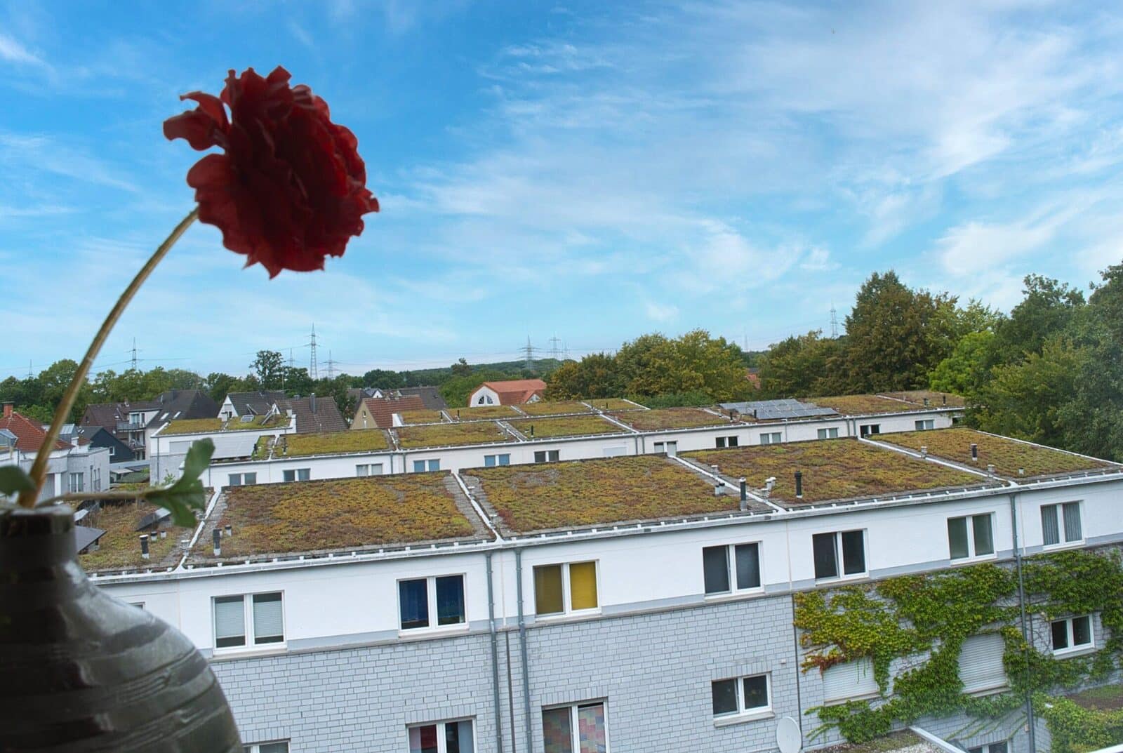 Aussicht